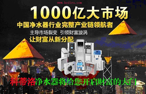 廚房凈水器加盟代理選什么牌子好 廚房凈水器加盟代理選什么牌子好